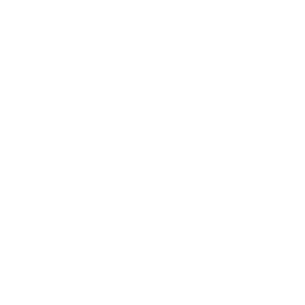 logotipo de norauto
